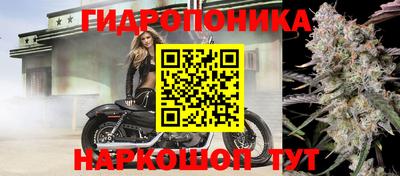 стаф Заволжье