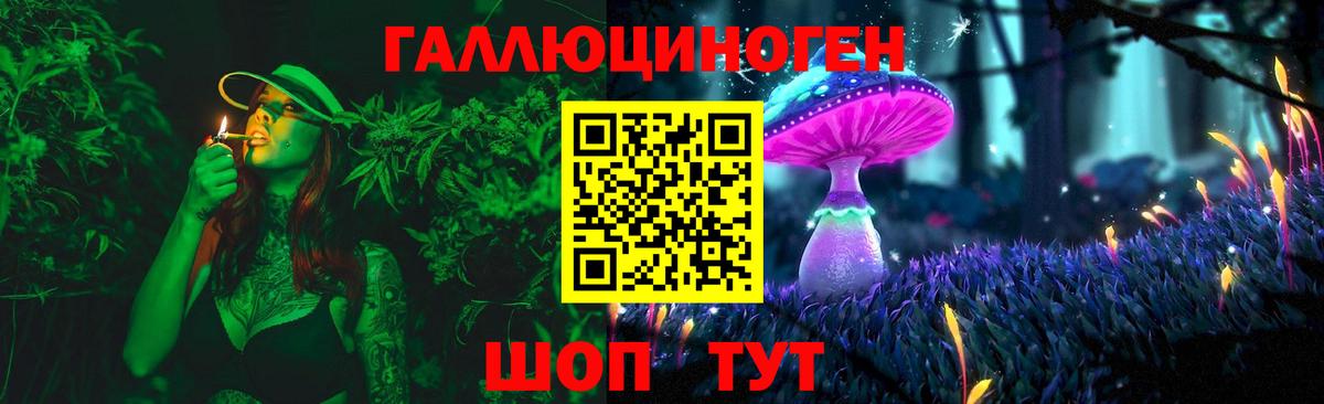 Павловский Посад  Галлюциногенные грибы Psilocybe  Вход с VPN 