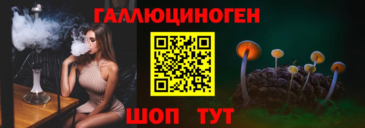 Галлюциногенные грибы GOLDEN TEACHER Павловский Посад